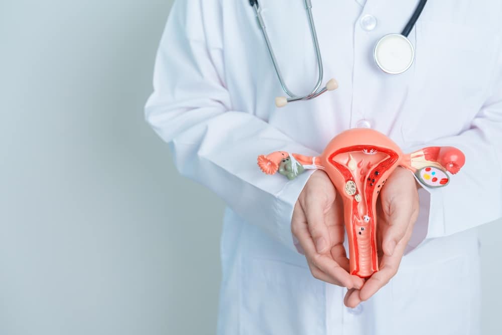 bylinky na močové cesty a prostatu