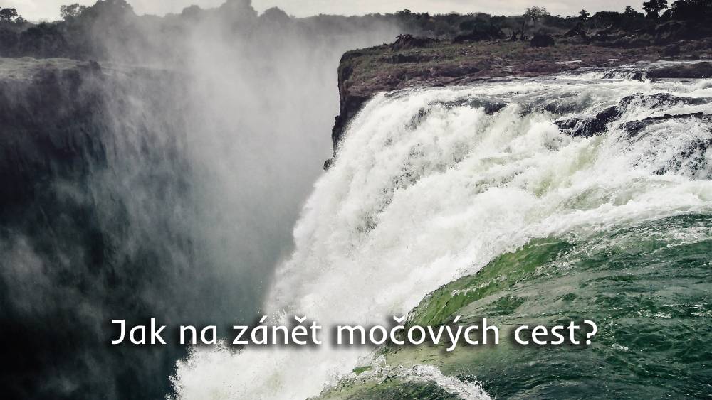 zánět močových cest