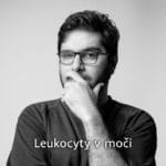 leukocyty v moči