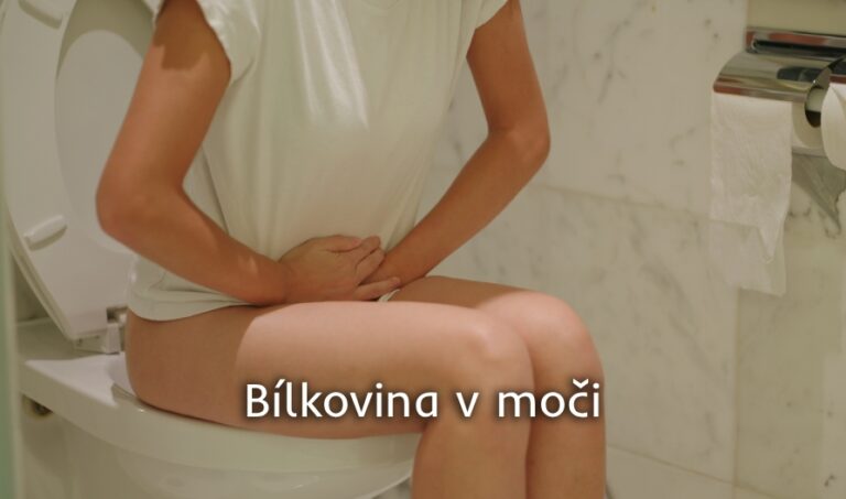 Bílkovina v moči